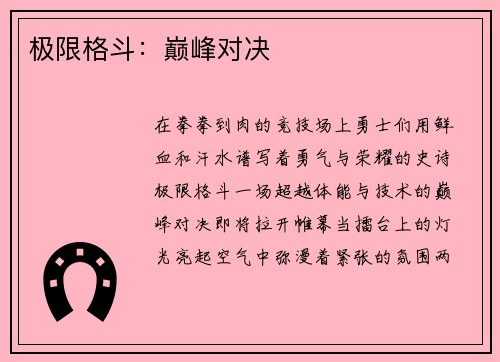 极限格斗：巅峰对决